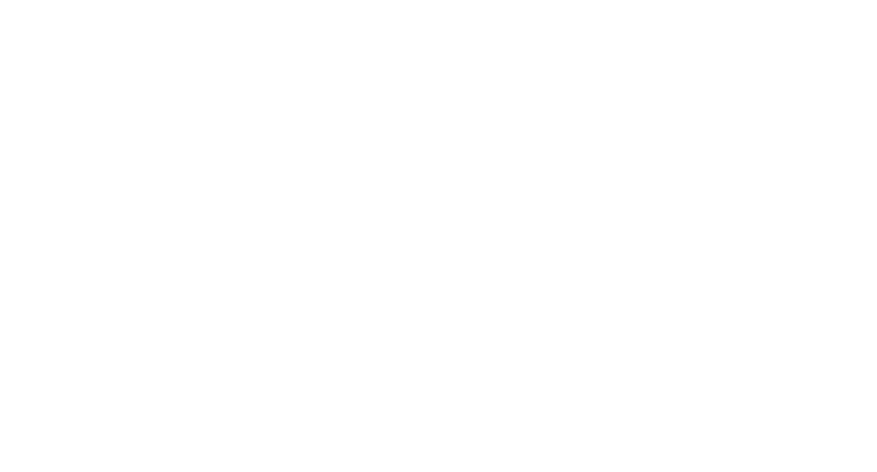 Pro-Tel Logo White